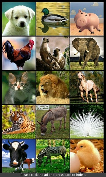 Animal Sounds & Ringtones - Preview 5