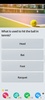 QuizzLand screenshot 11