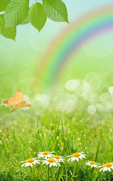 Rainbow Live Wallpaper - Preview 3