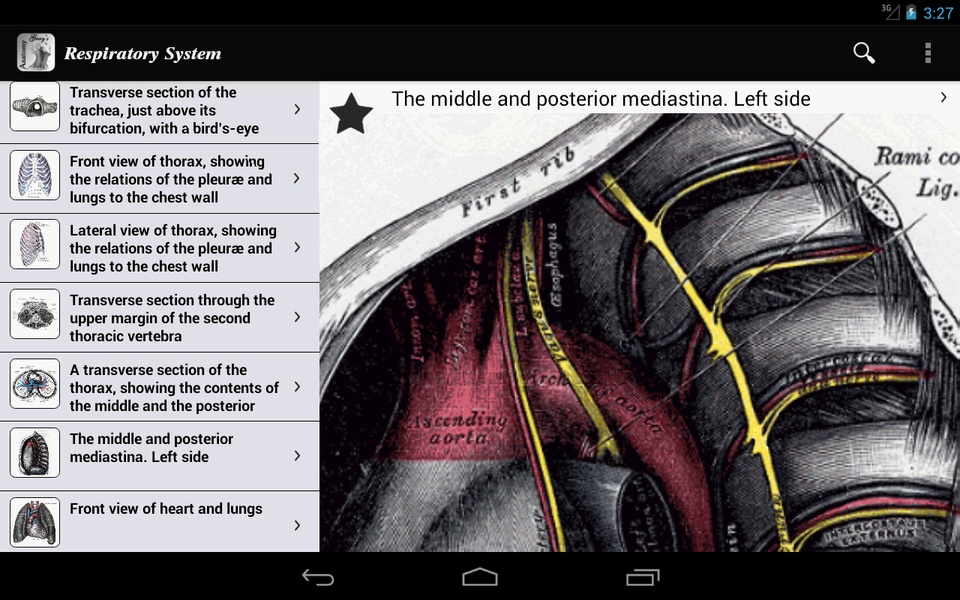 Grays Anatomy 2012 Lite - Preview 1