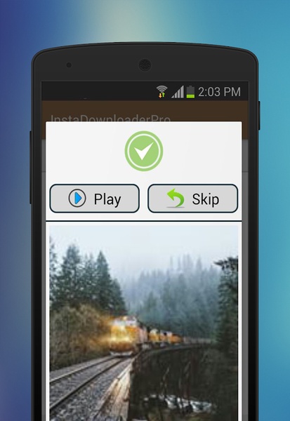 InstaDownloader - Preview 4