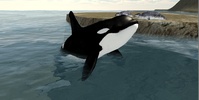 Orca Simulator screenshot 6