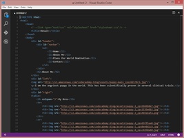 Visual Studio Code screenshot 3