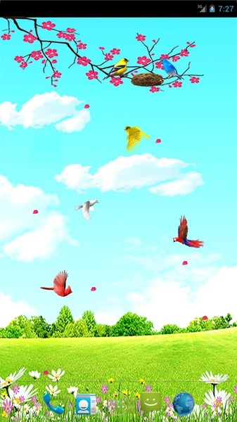 Sky Birds (free) - Preview 8