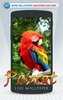 Parrot Live Wallpaper screenshot 8