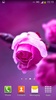 Roses Fond décran Animé screenshot 6