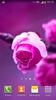 Roses Live Wallpaper screenshot 6