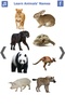 تعليم أسماء الحيوانات باللغة الانجليزية screenshot 2