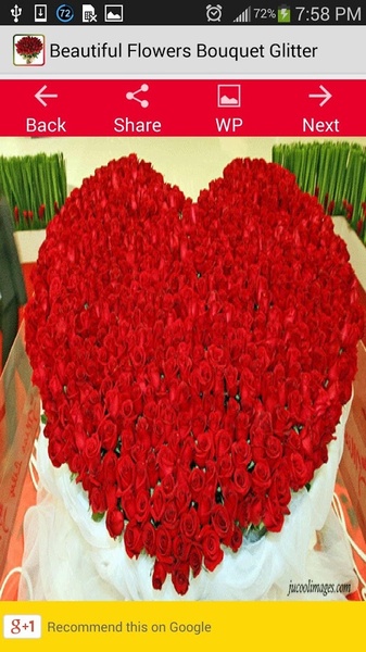 Beautiful Flowers Bouquet Glitter - Preview 7
