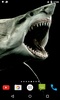 Shark 4K Video Live Wallpaper screenshot 3
