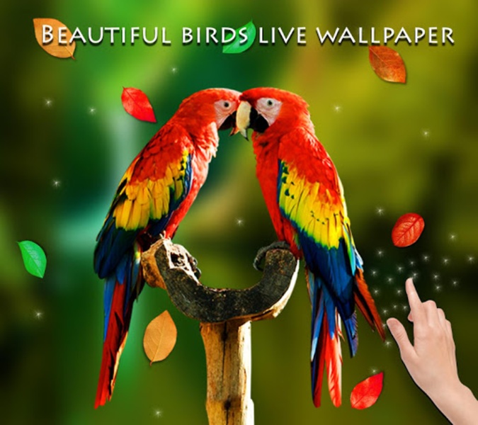 Bird 3D Live Wallpaper - Preview 3