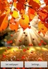 Autumn Live Wallpaper screenshot 1