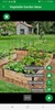 Vegetable Garden Design Ideas screenshot 4