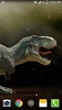 Dinosaur Live Wallpaper PRO HD screenshot 4