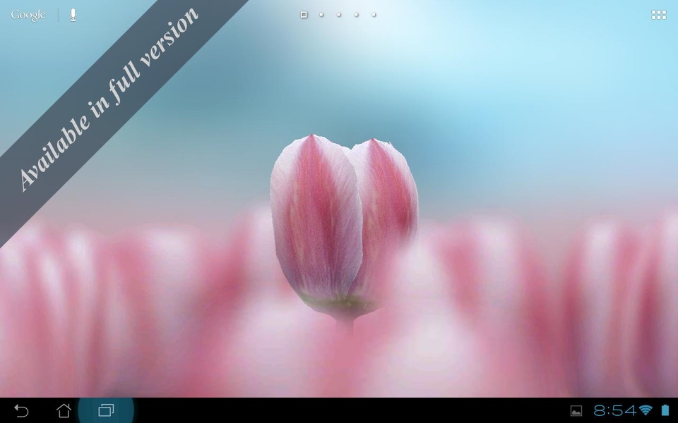 3D Tulip Free - Preview 2