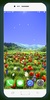 Spring Wallpaper HD screenshot 11