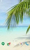 Beach HD Video Live Wallpaper screenshot 5