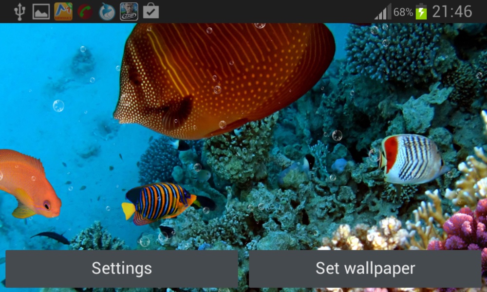 Coral Reef Live Wallpaper - Preview 1