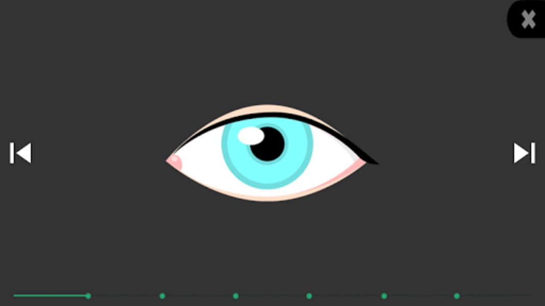 EyecorrectorPro - Preview 2