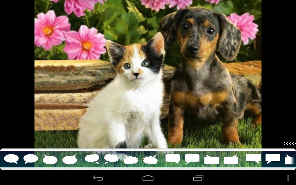 Tinipiny Camera - Preview 3