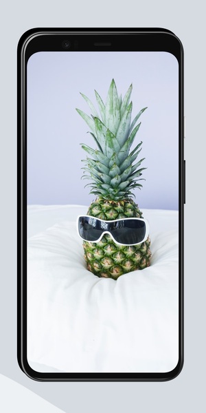 Funny Wallpapers OurcreativeApps - Preview 6