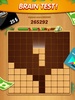 Lucky Woody Puzzle - Block Puz screenshot 6