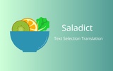 Saladict Translator screenshot 1