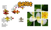 Blossom Flower and Roses - Puzzle screenshot 7