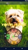 Cute Puppy Live Wallpaper screenshot 6