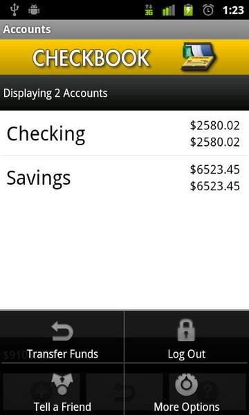 Checkbook - Preview 7