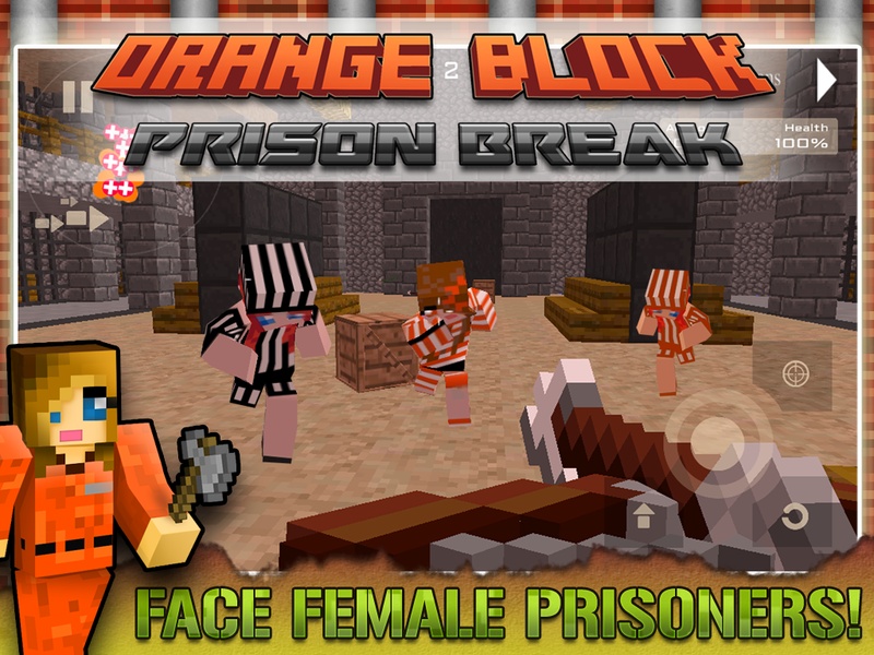 Orange Block Prison Break - Preview 15