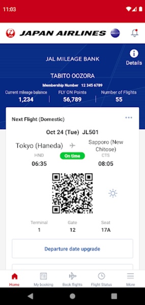JAL - Preview 6