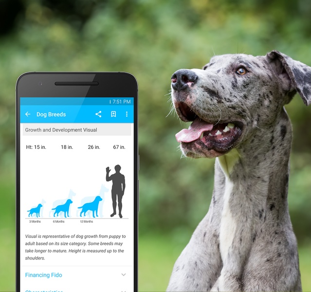 Pet Breeds - Preview 6