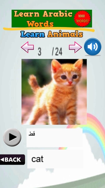 Learn Arabic Words - Preview 5