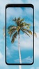 Palm Tree Wallpapers screenshot 4