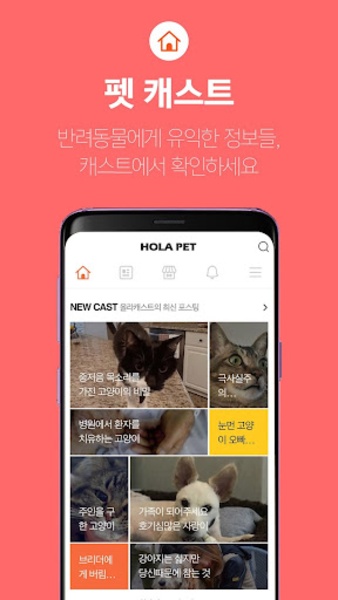 Hola Pet - Preview 3
