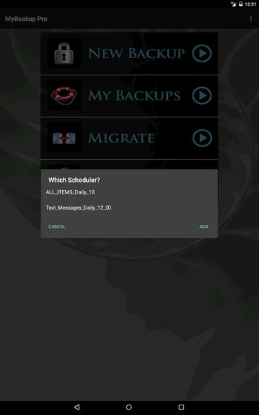 My Backup - Preview 16