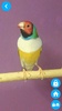 Pets Wallpaper-7 screenshot 1