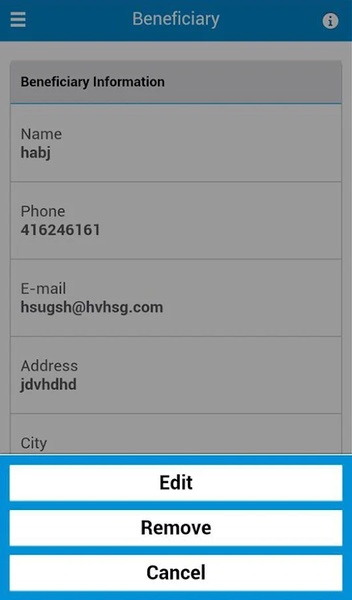 MoneyTransfer - Preview 3