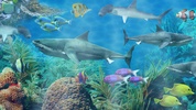 Shark aquarium screenshot 8