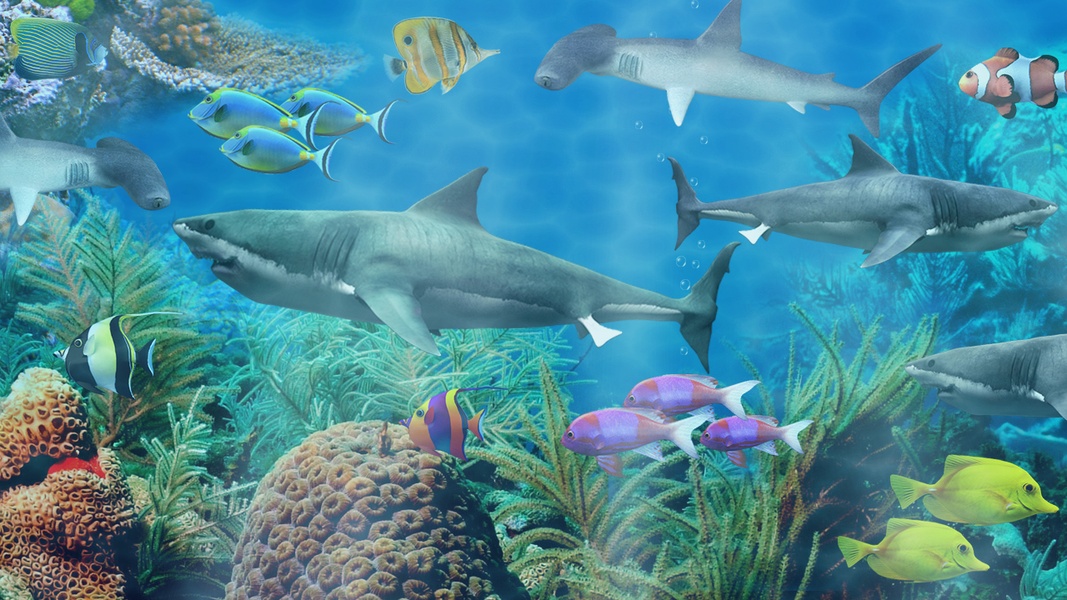 Shark aquarium - Preview 8