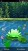 Flower Live Wallpaper 3D screenshot 7