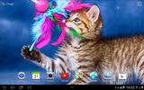 Katzen Live Wallpaper screenshot 7