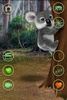 Talking Koala Bear screenshot 1