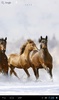Horses in winter screenshot 10