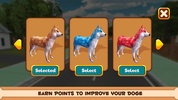 Play With Your Dog: Shiba Inu screenshot 1