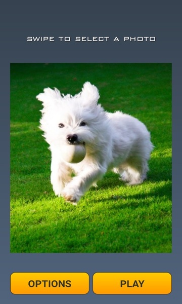 Cute Dogs Puzzle - Preview 3
