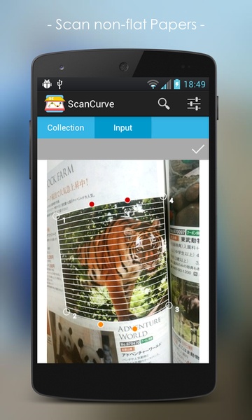 ScanCurve - Preview 4