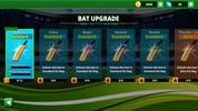 Cricket King screenshot 2