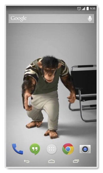 Cool Monkey Live Wallpaper - Preview 3